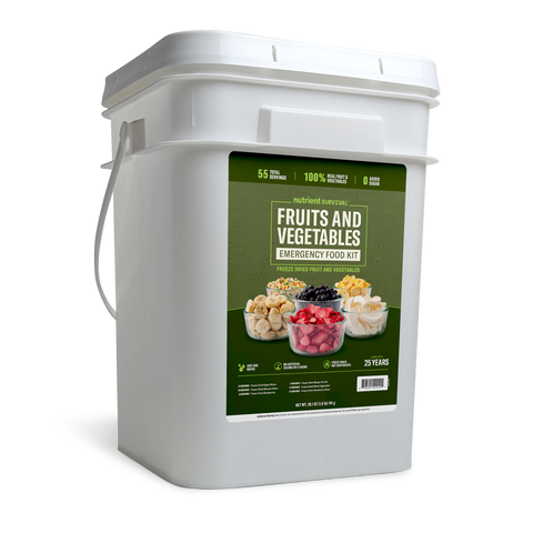 Freeze Dried Fruits and Vegetables Emergency Food Bucket – lifestyle photo
