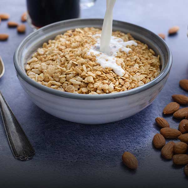 Protein Breakfasts collection – Nutrient Survival