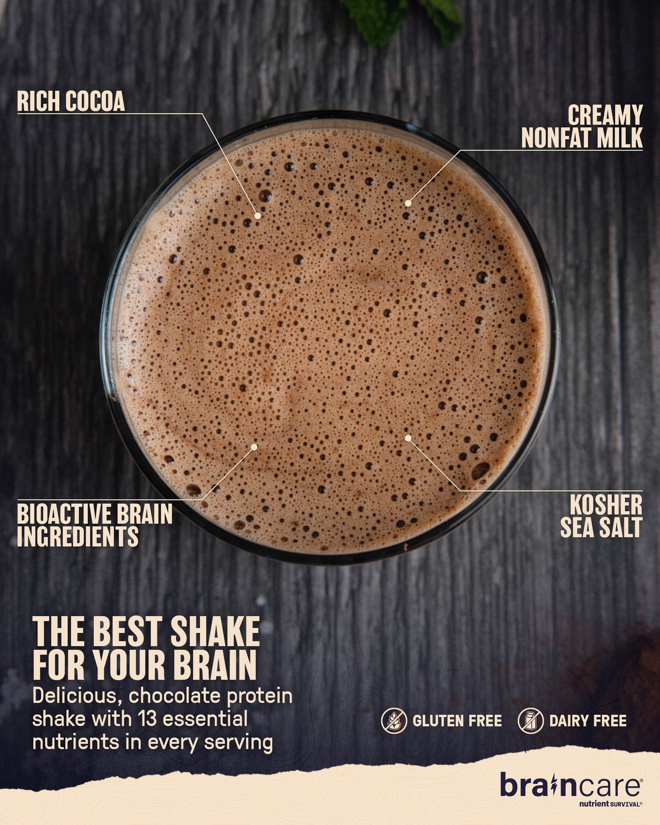 Brain Shake® Chocolate - Pantry Pack