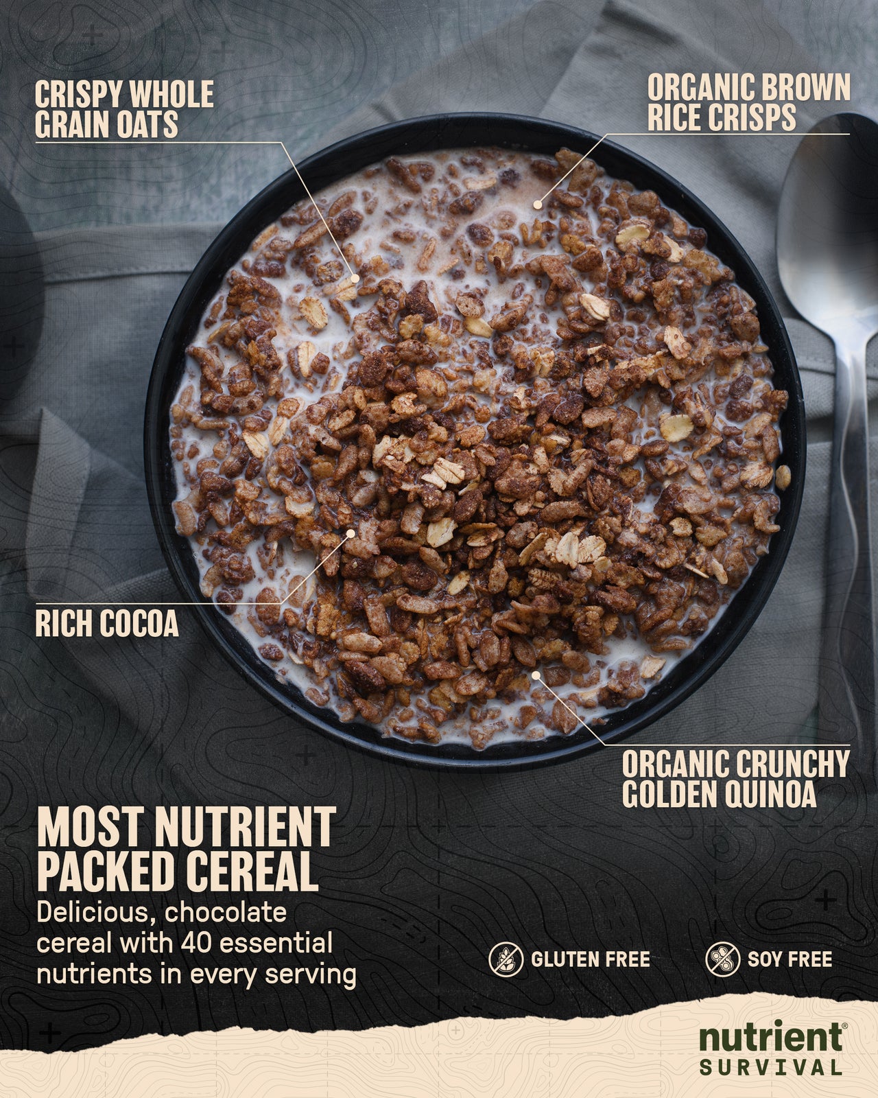 Chocolate Grain Crunch 6 Cans