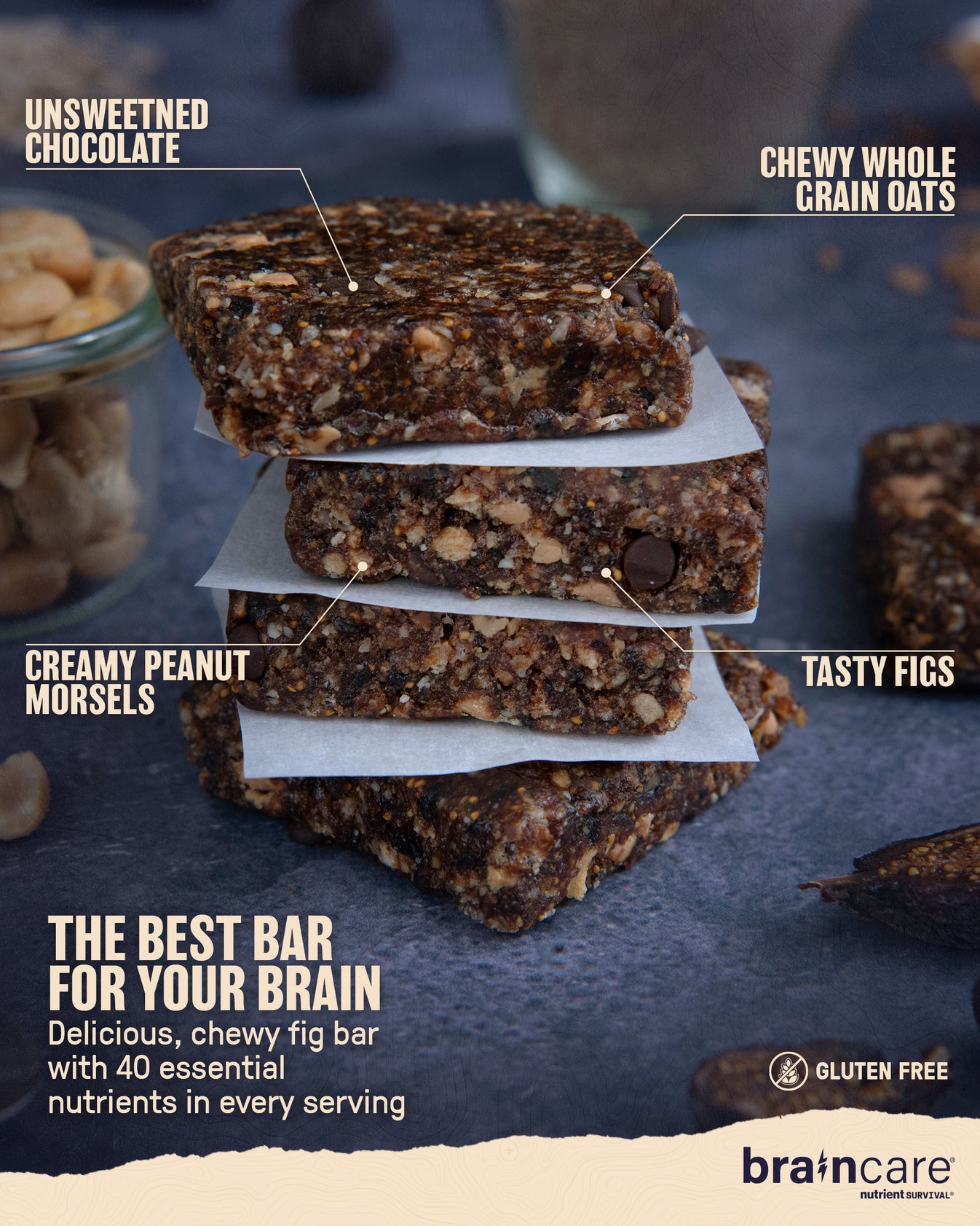 Brain Omega 3 Bar® - Fig & Roasted Peanut - Singles 8-Pack