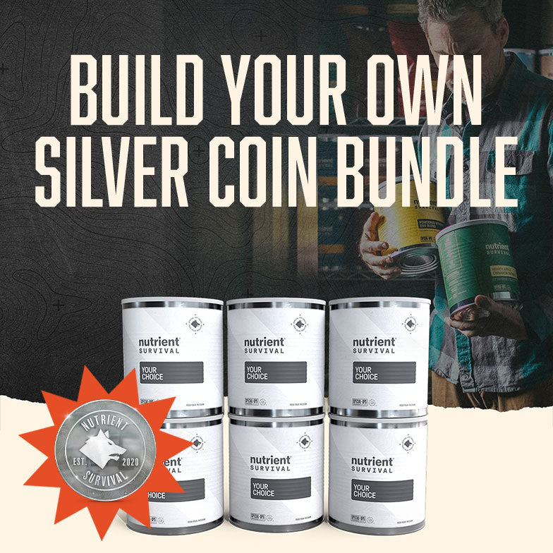 Silver Coin Bundle