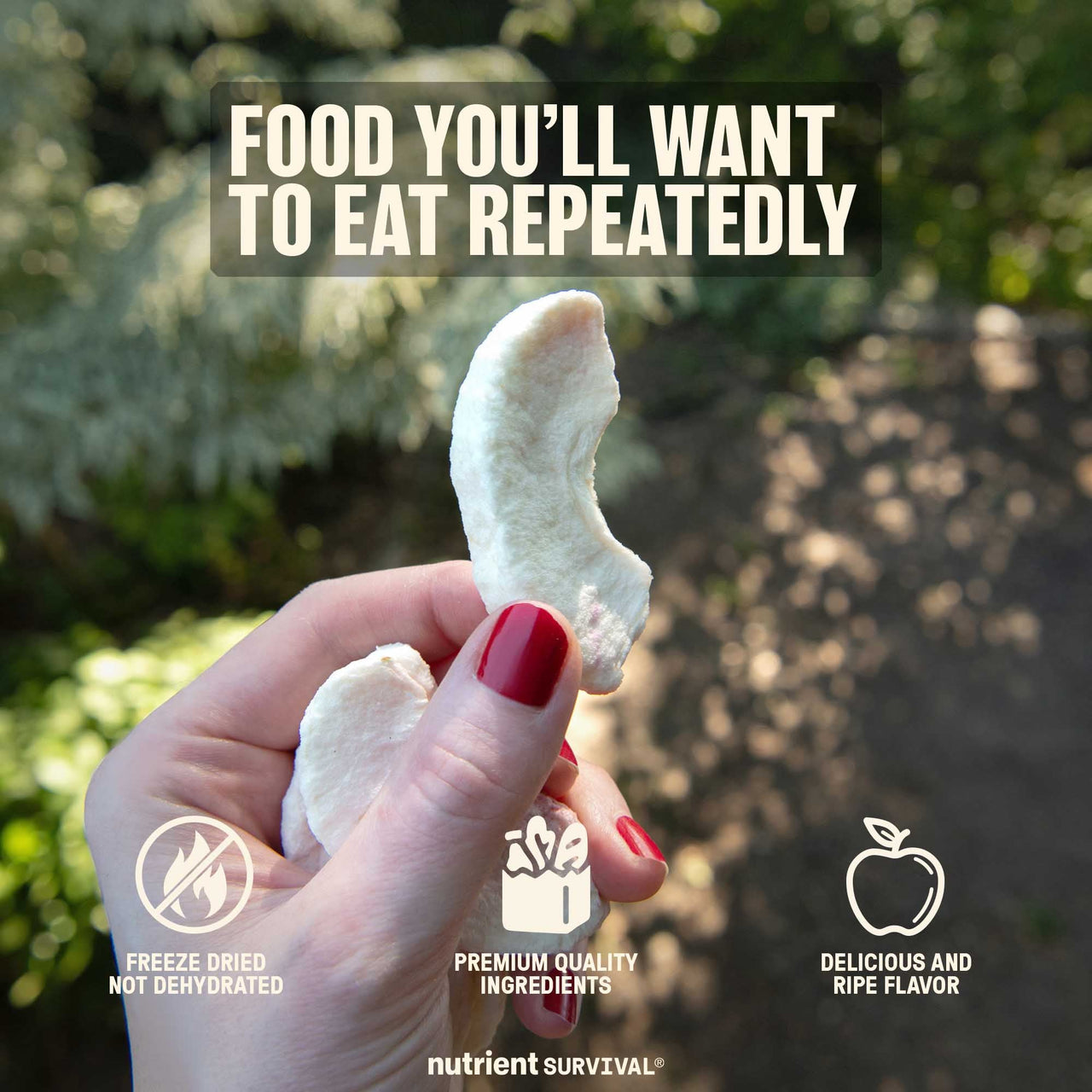 Freeze Dried Apple Slices #10 Can – product photo 4