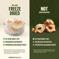 Freeze Dried Apple Slices #10 Can – product photo 5