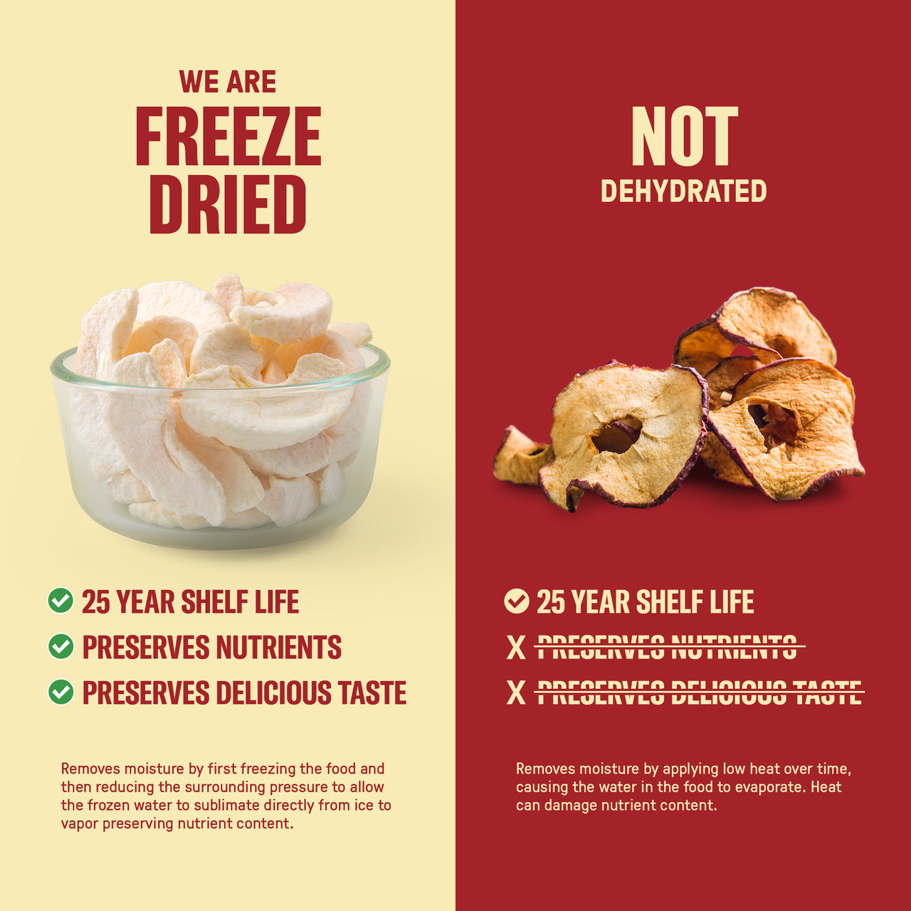 Freeze Dried Apple Slices 6 Cans