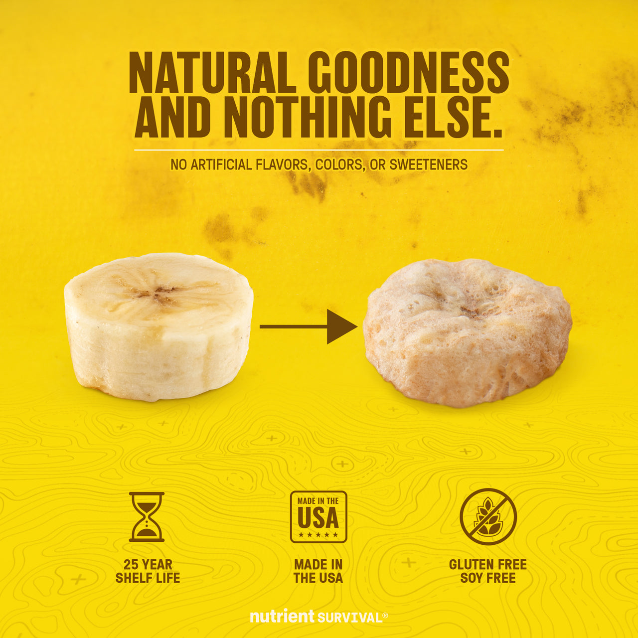 Freeze Dried Banana Slices 6 Cans