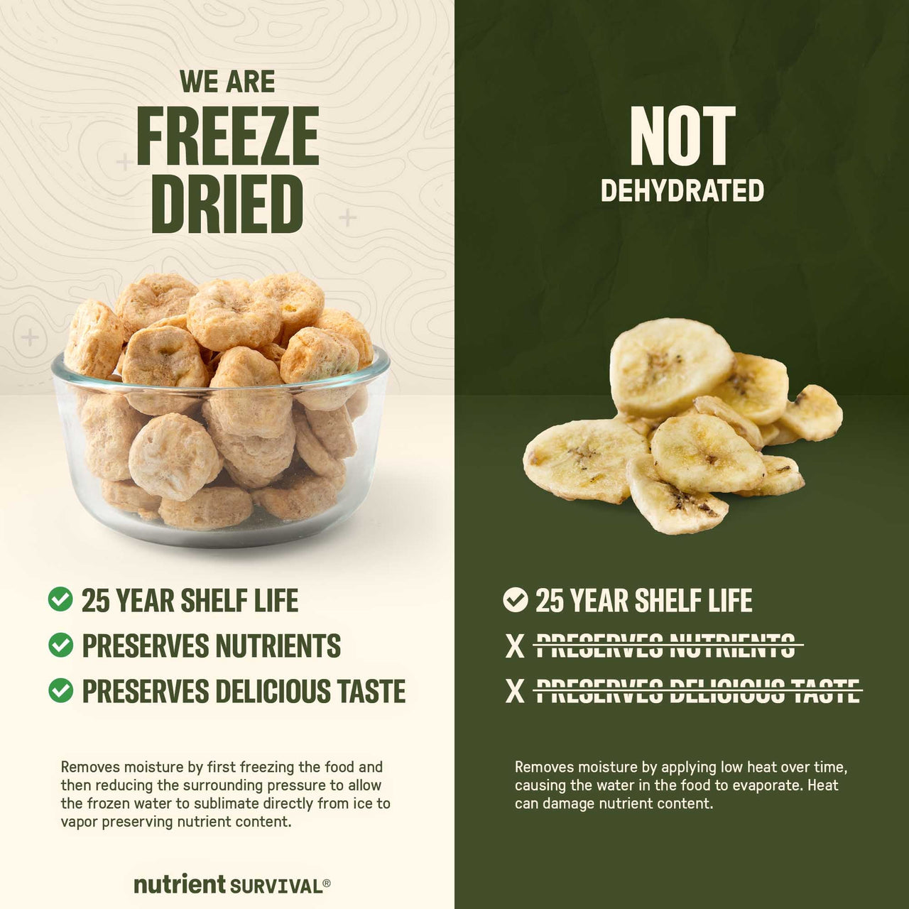 Freeze Dried Banana Slices #10 Can – product photo 5