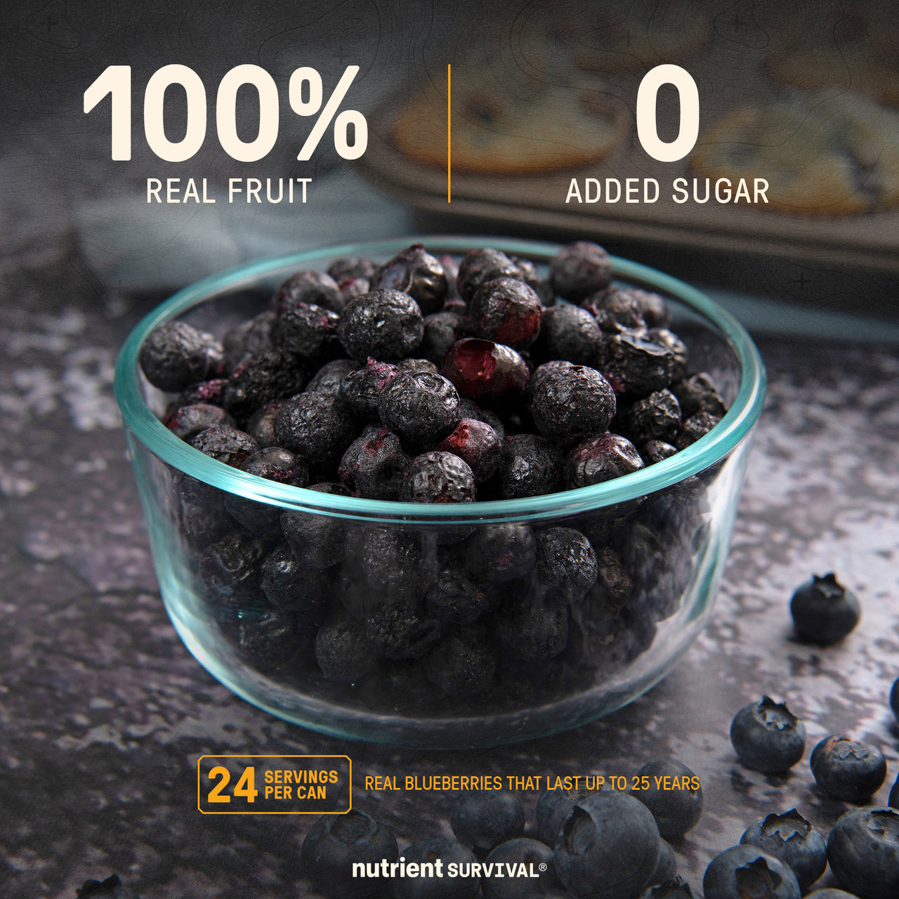 Freeze Dried Blueberries 6 Cans