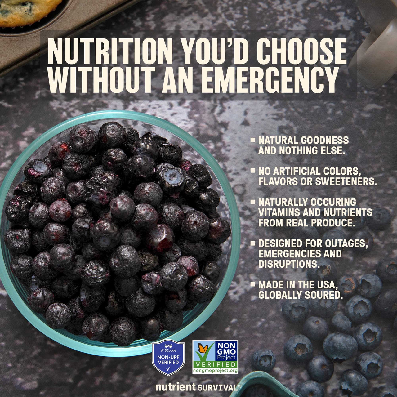Freeze Dried Blueberries #10 Can – product photo 3