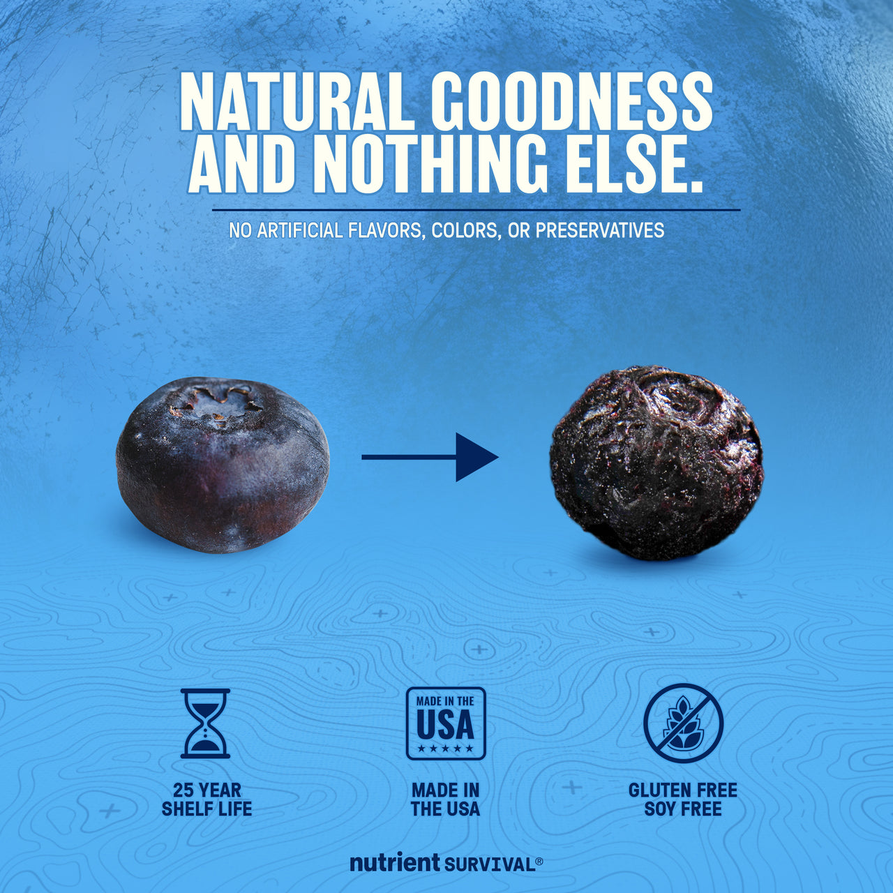 Freeze Dried Blueberries 6 Cans