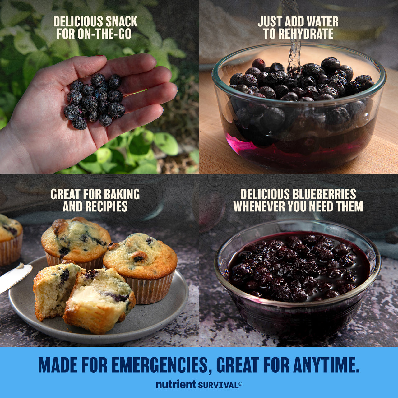 Freeze Dried Blueberries 6 Cans