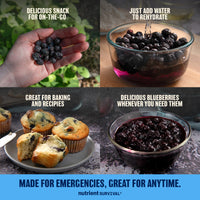 Thumbnail for Freeze Dried Blueberries 6 Cans