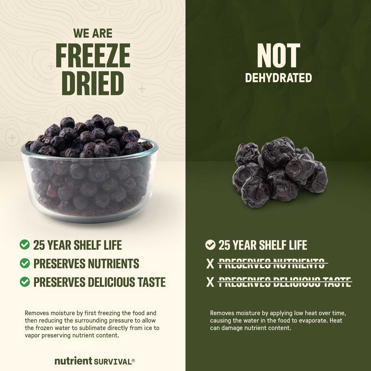 Freeze Dried Blueberries #10 Can – product photo 5