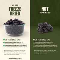 Freeze Dried Blueberries #10 Can – product photo 5