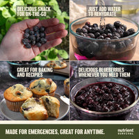 Freeze Dried Blueberries #10 Can – product photo 6