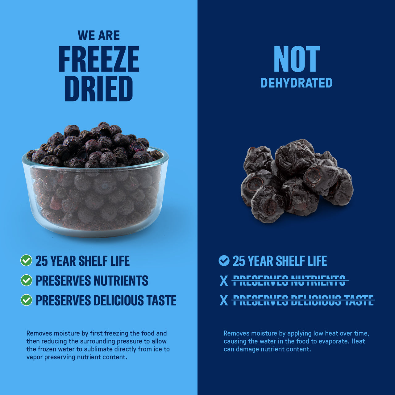 Freeze Dried Blueberries 6 Cans