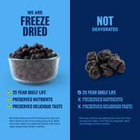 Thumbnail for Freeze Dried Blueberries 6 Cans