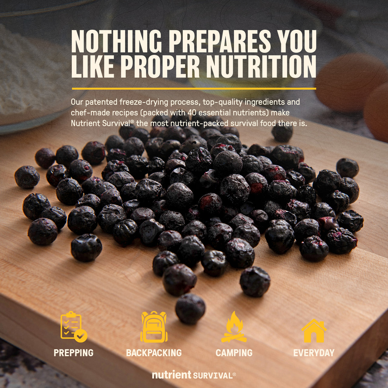 Freeze Dried Blueberries 6 Cans