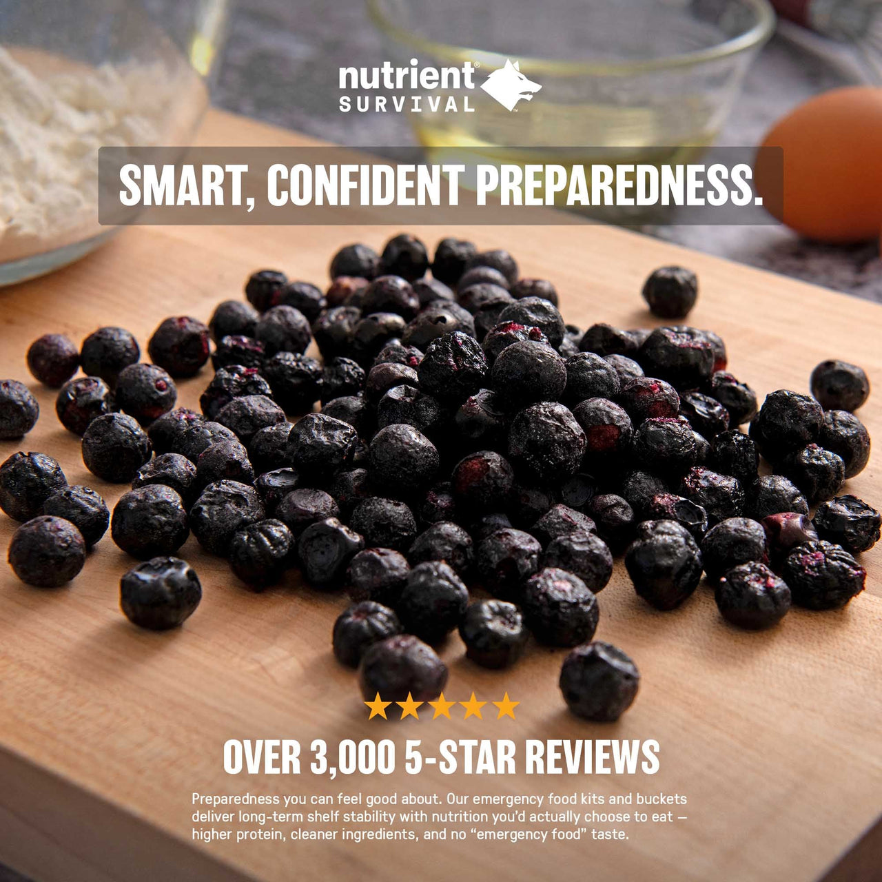 Freeze Dried Blueberries #10 Can – product photo 9