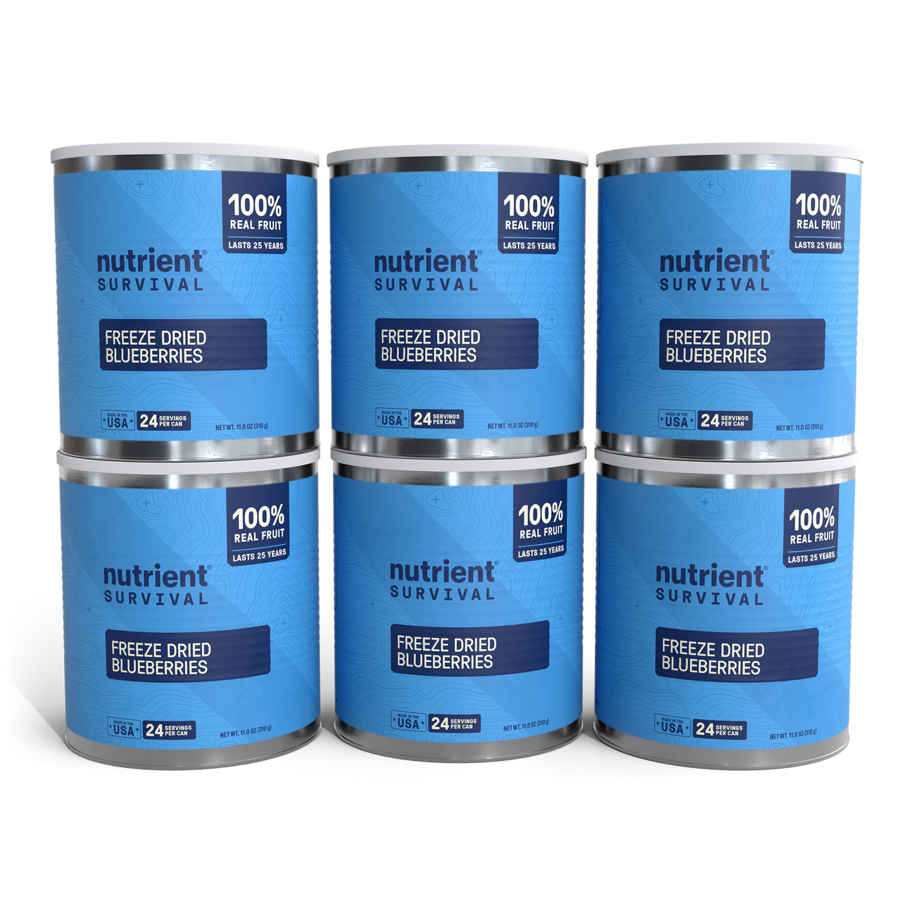 Freeze Dried Blueberries 6 Cans