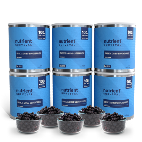 Freeze Dried Blueberries 6 Cans