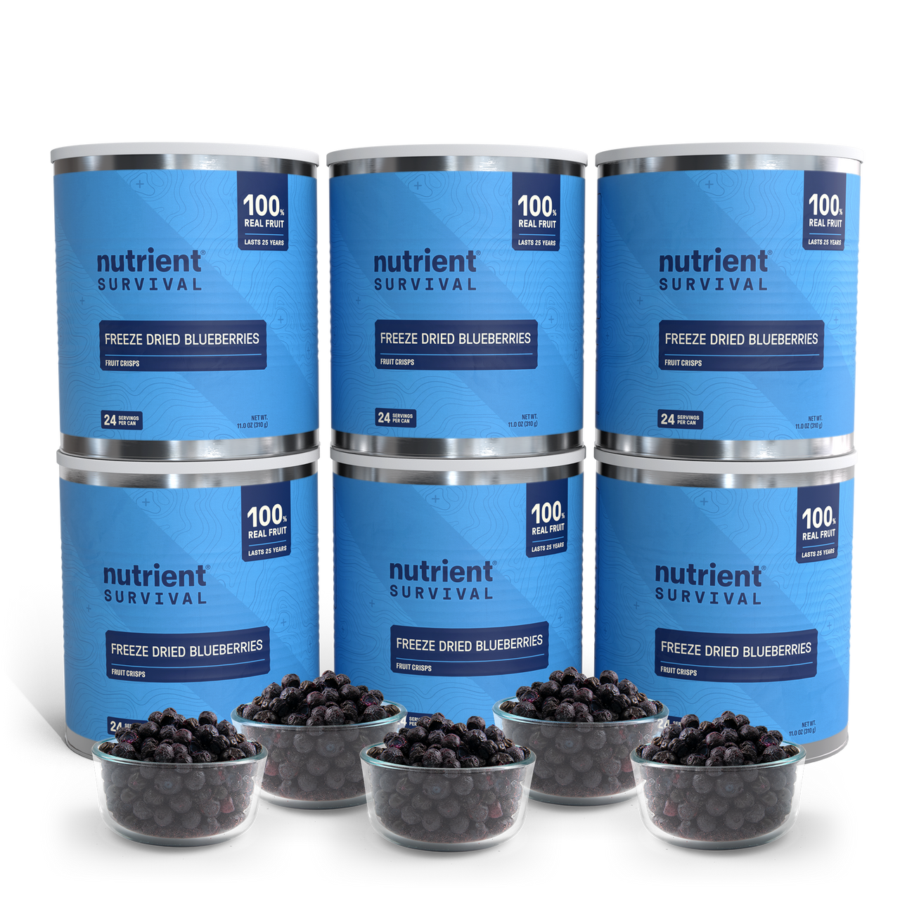 Freeze Dried Blueberries 6 Cans