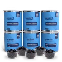 Freeze Dried Blueberries 6 Cans