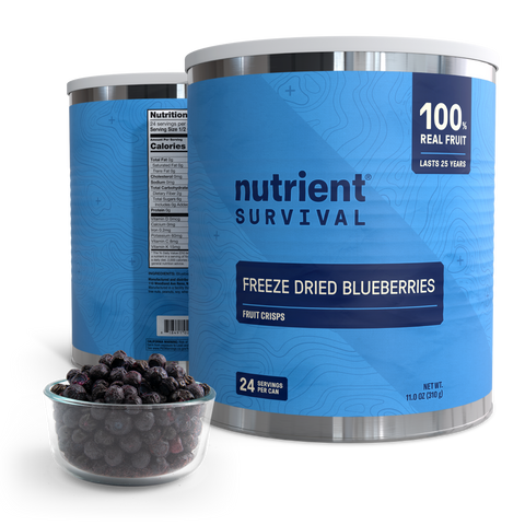 Freeze Dried Blueberries #10 Can
