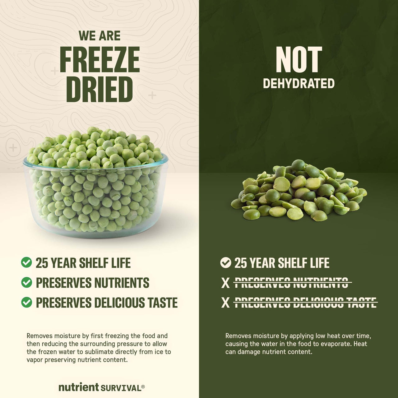 Freeze Dried Green Peas #10 Can – product photo 5