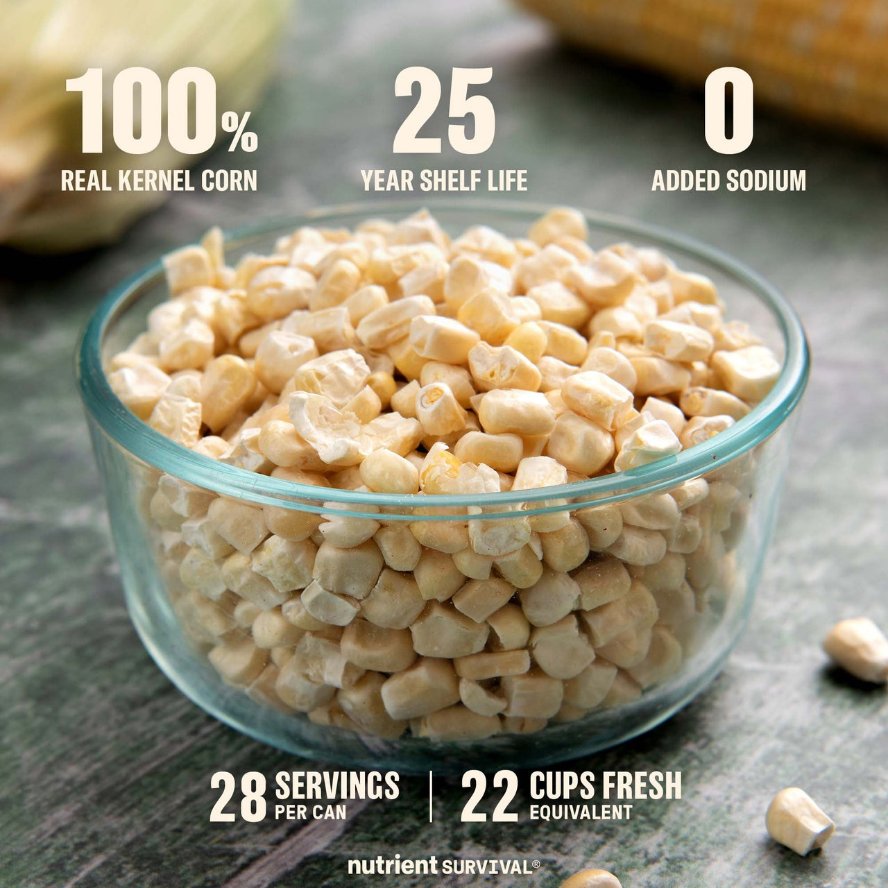 Freeze Dried Kernel Corn #10 Can – product photo 2