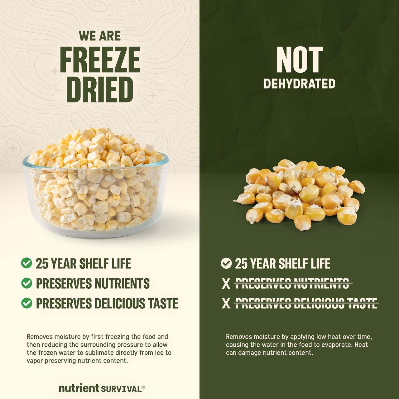 Freeze Dried Kernel Corn #10 Can – product photo 5