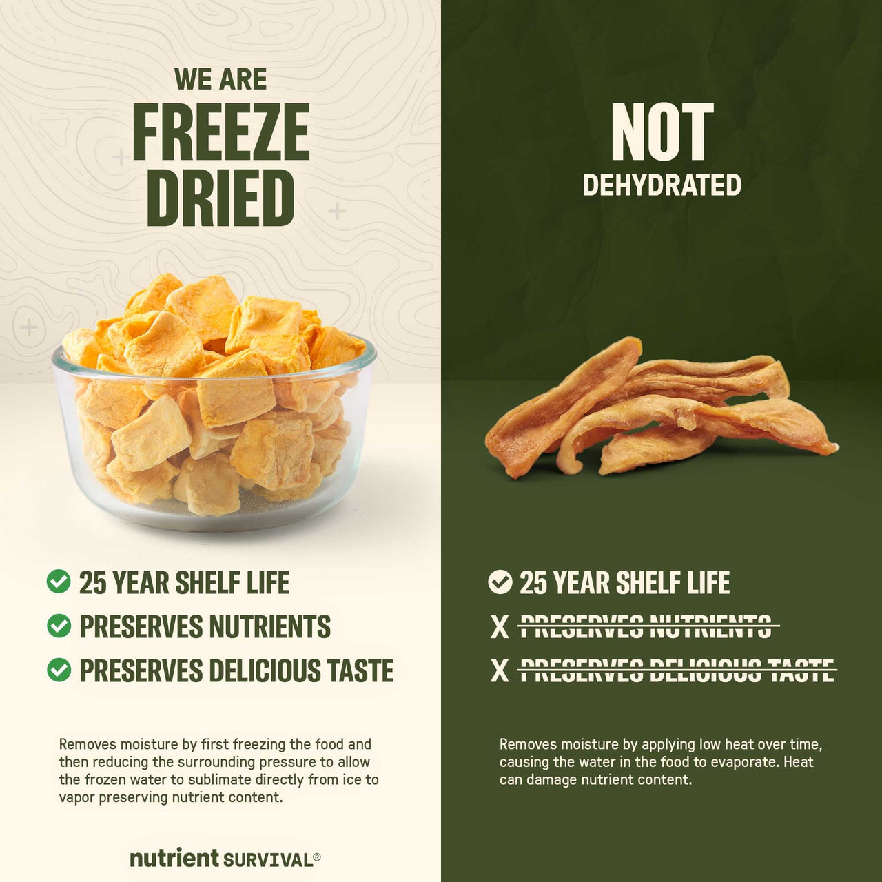 Freeze Dried Mango Chunks #10 Can – product photo 5
