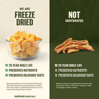 Freeze Dried Mango Chunks #10 Can – product photo 5
