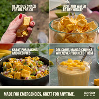 Freeze Dried Mango Chunks #10 Can – product photo 6