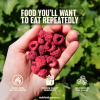 Freeze Dried Raspberry Pieces #10 Can