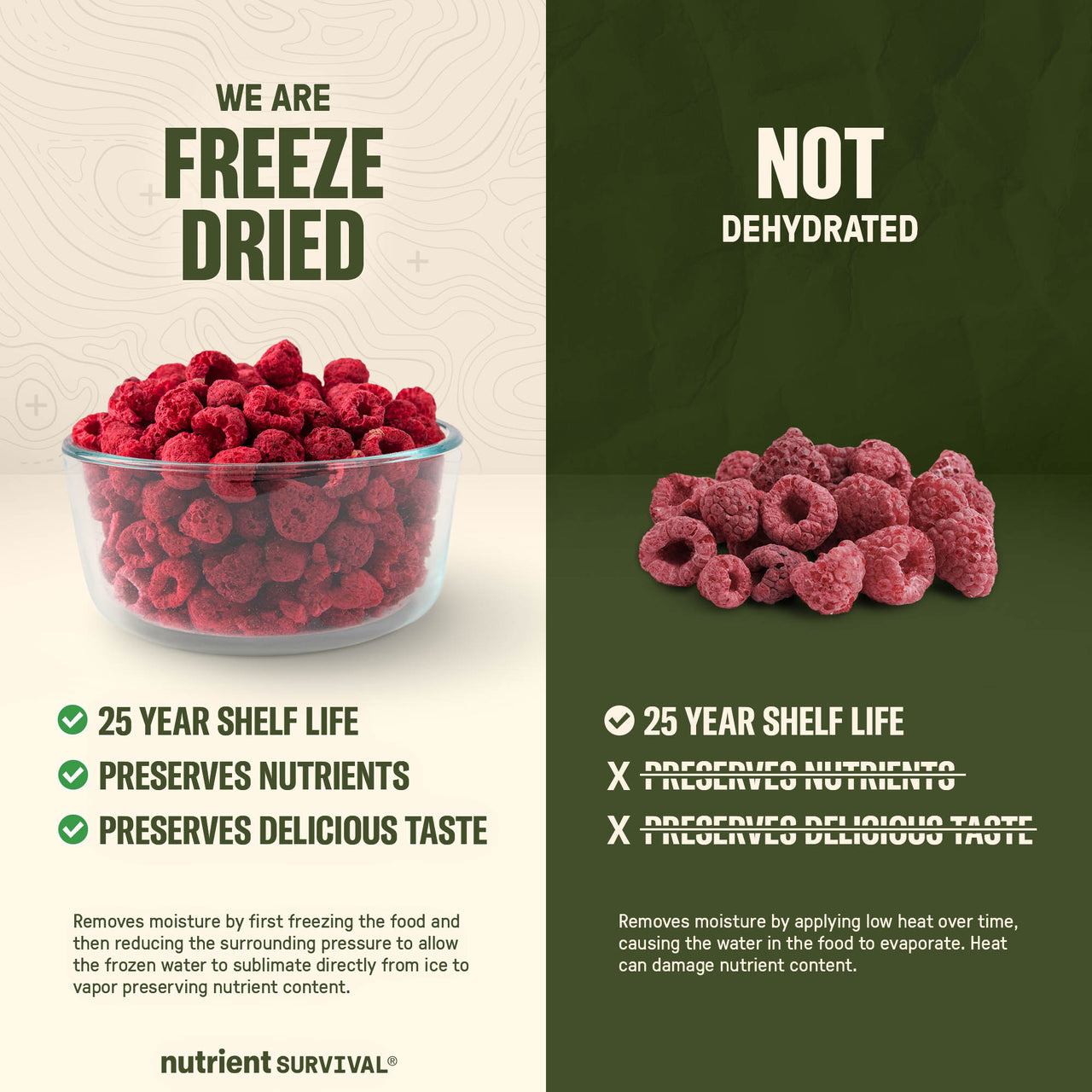 Freeze Dried Raspberry Pieces #10 Can