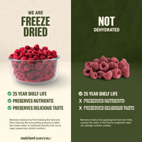 Freeze Dried Raspberry Pieces #10 Can