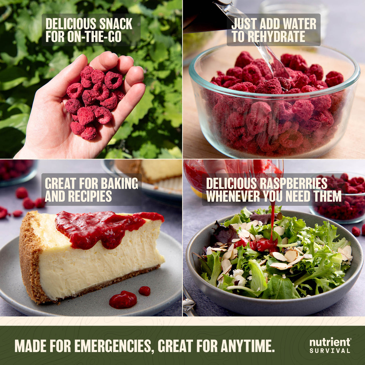 Freeze Dried Raspberry Pieces #10 Can
