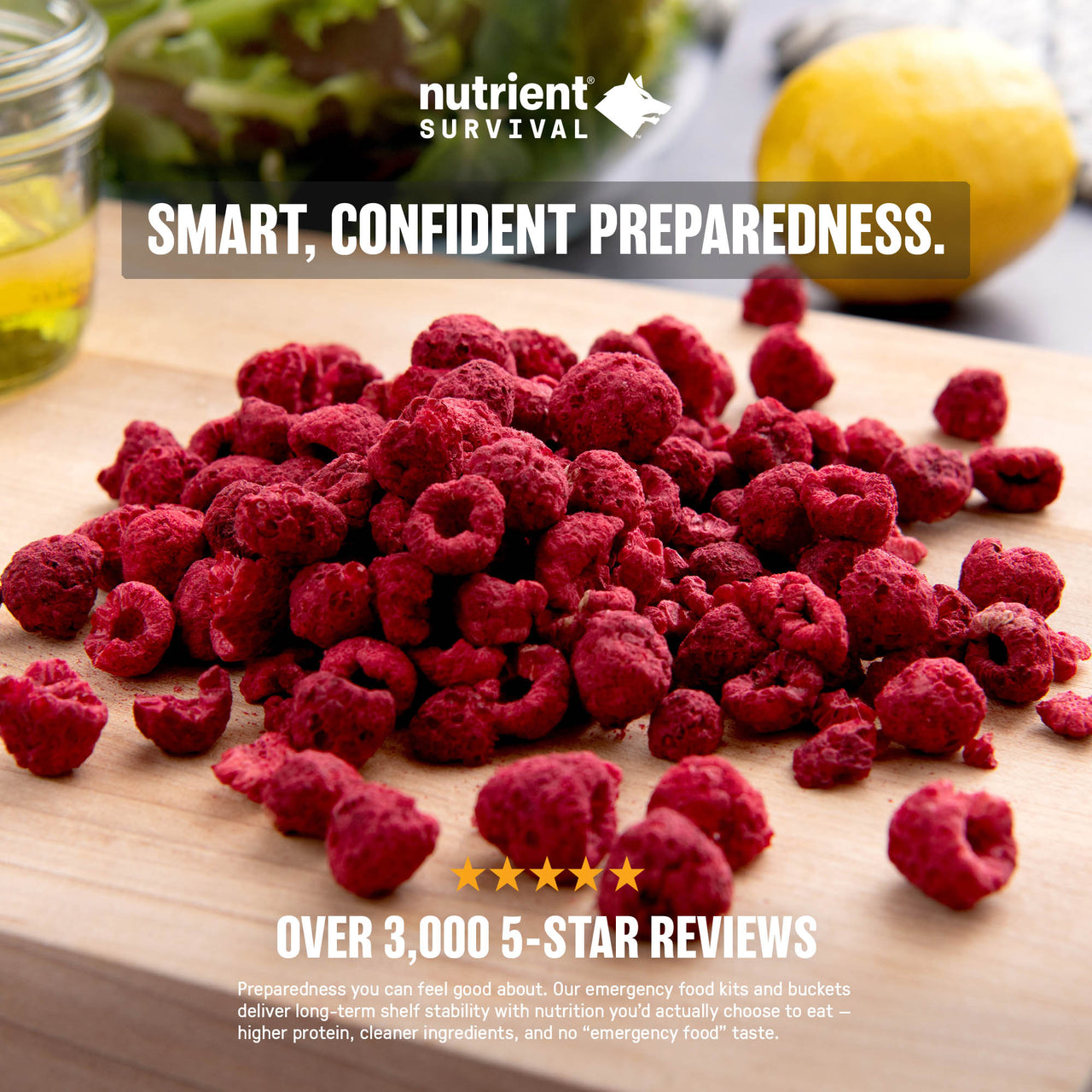 Freeze Dried Raspberry Pieces #10 Can