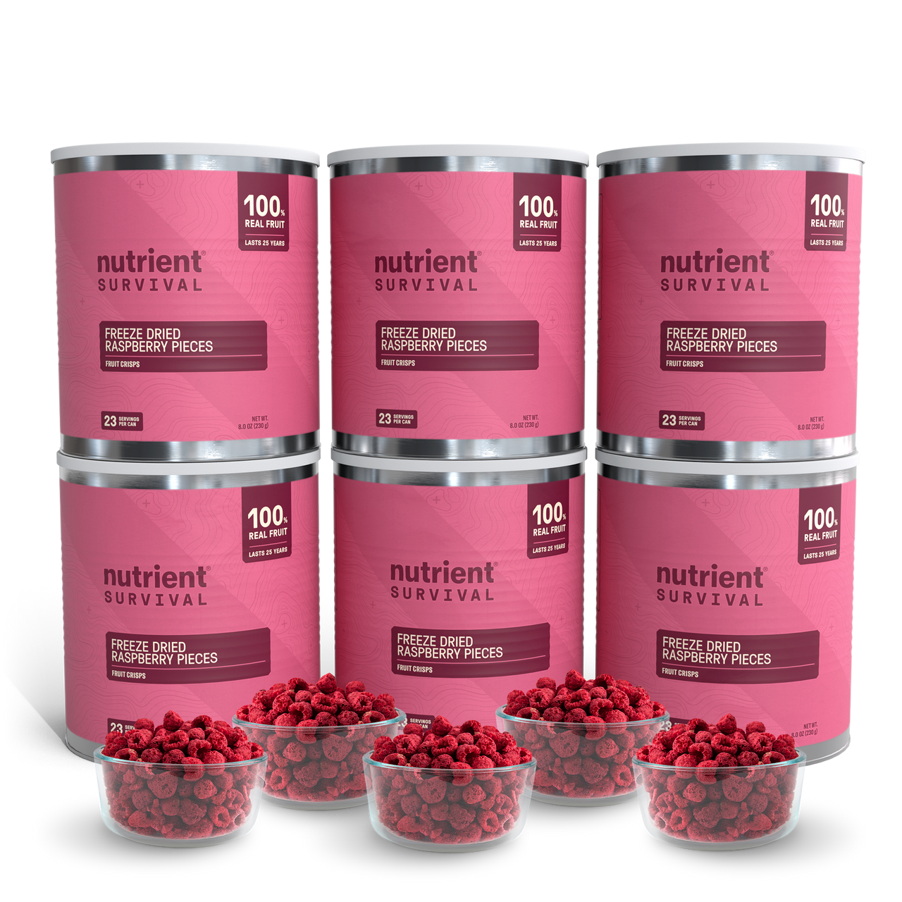 Freeze Dried Raspberry Pieces 6 Cans