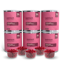 Freeze Dried Raspberry Pieces 6 Cans