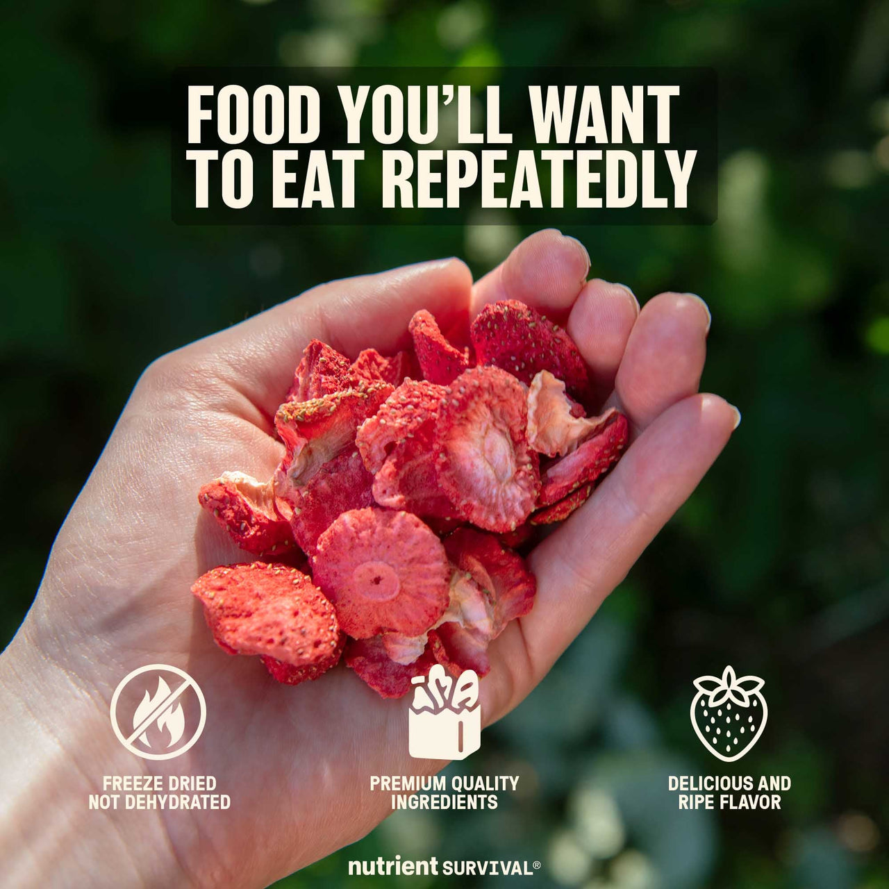Freeze Dried Strawberry Slices #10 Can – product photo 4