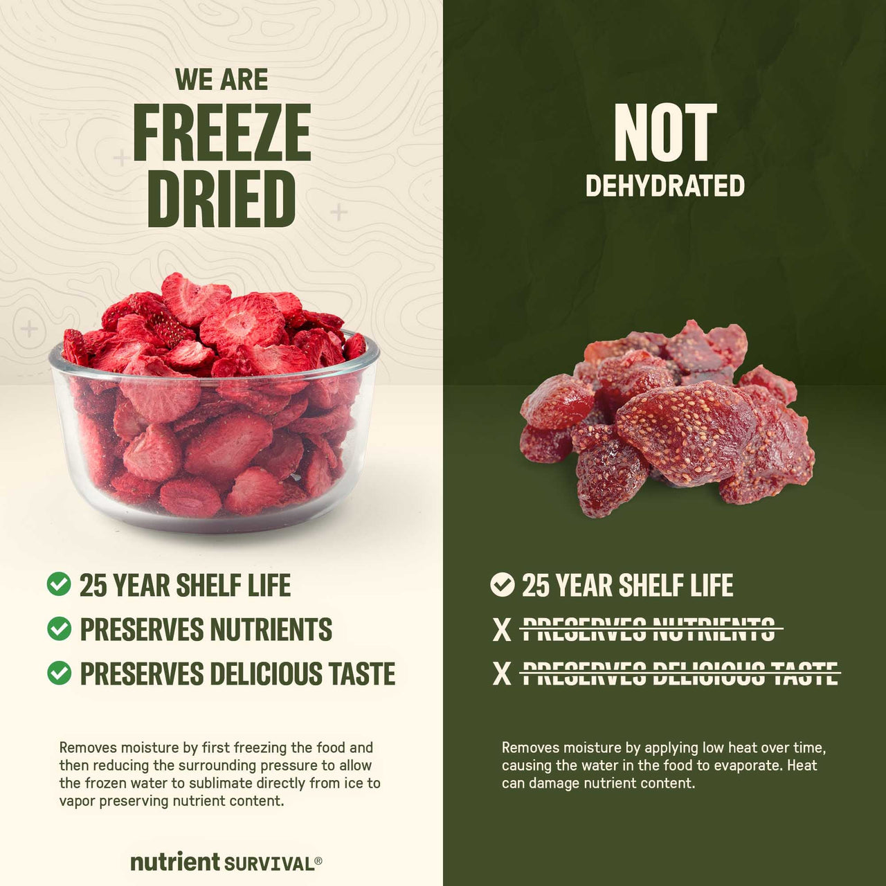Freeze Dried Strawberry Slices #10 Can – product photo 5
