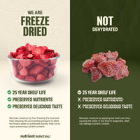 Freeze Dried Strawberry Slices #10 Can – product photo 5