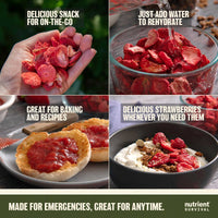 Freeze Dried Strawberry Slices #10 Can – product photo 6