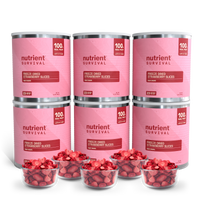 Freeze Dried Strawberry Slices 6 Cans