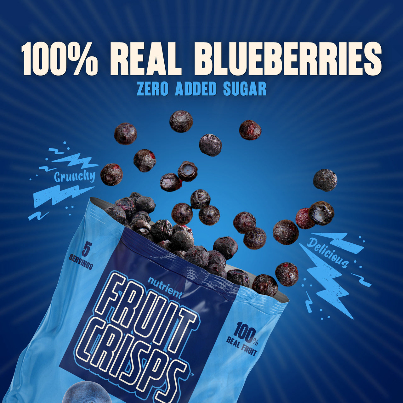 Blueberry Fruit Crisps 6-Pack