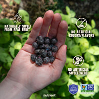 Blueberry Fruit Crisps 6-Pack