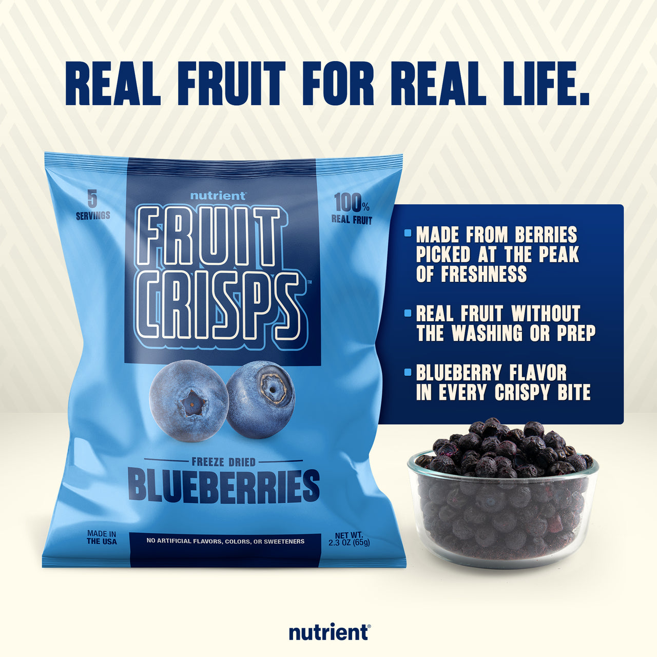 Blueberry Fruit Crisps 6-Pack