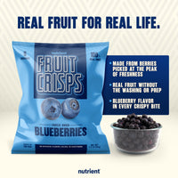 Blueberry Fruit Crisps 6-Pack